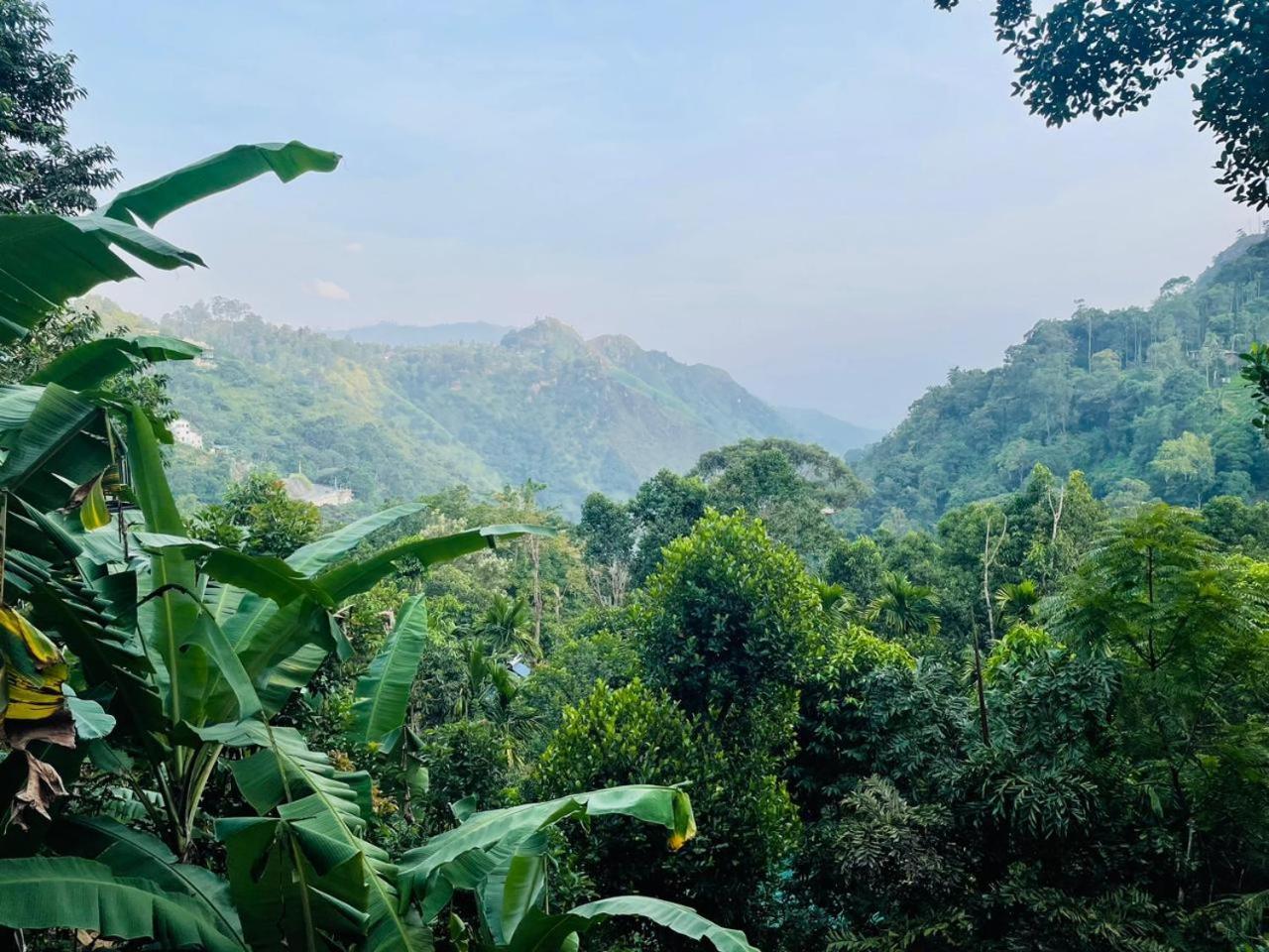 إيلا Mid Scenery Home Stay المظهر الخارجي الصورة