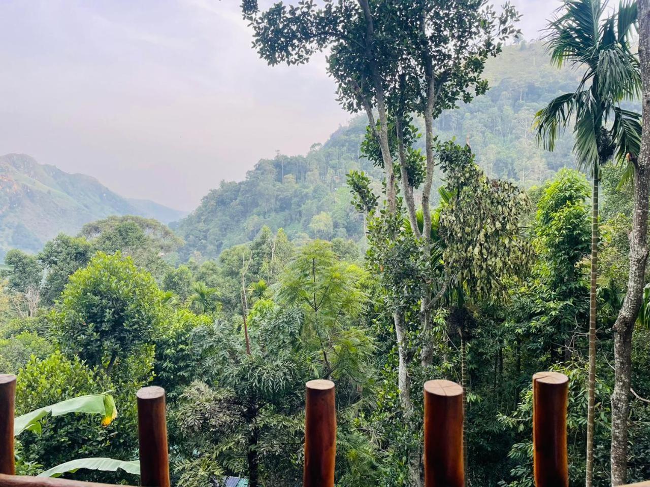 إيلا Mid Scenery Home Stay المظهر الخارجي الصورة