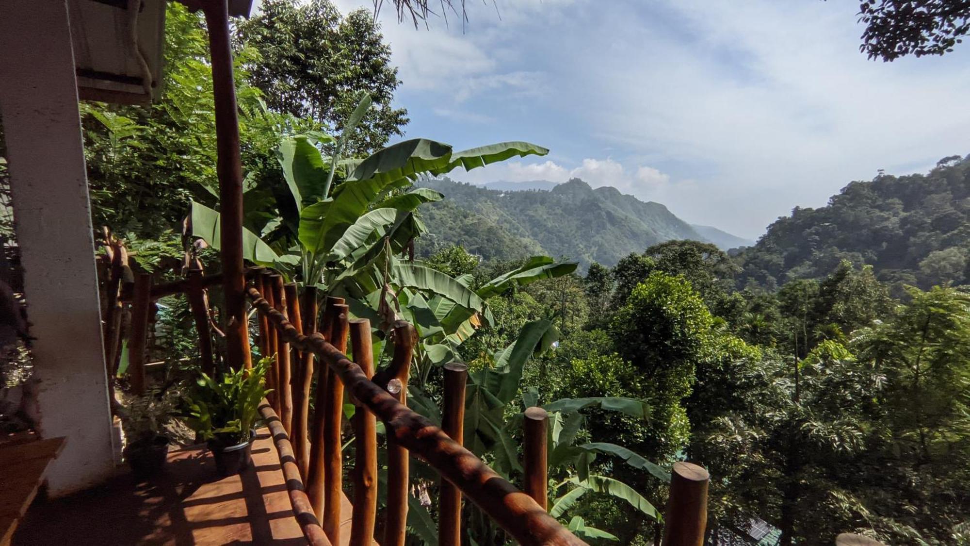 إيلا Mid Scenery Home Stay المظهر الخارجي الصورة