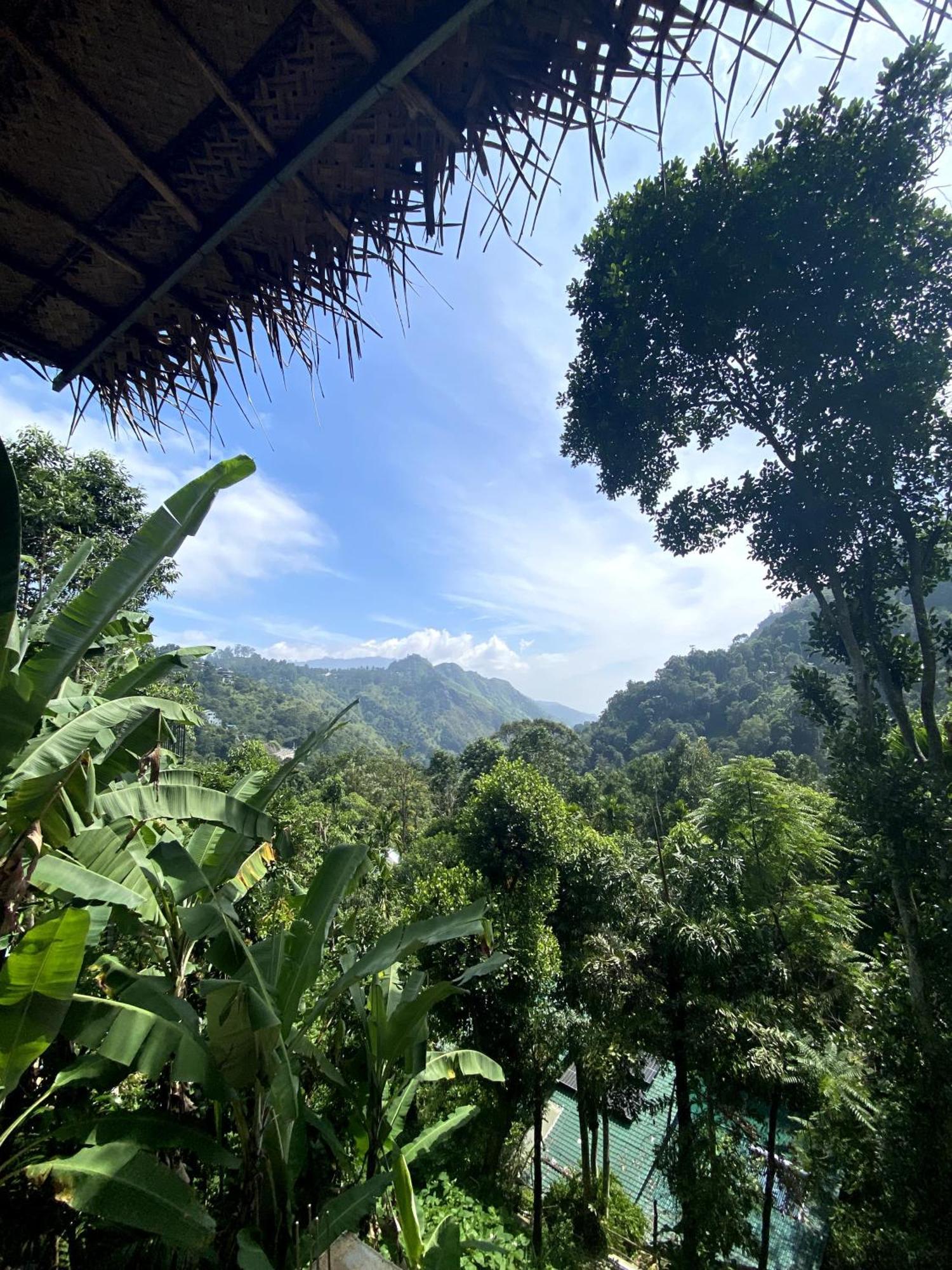إيلا Mid Scenery Home Stay المظهر الخارجي الصورة